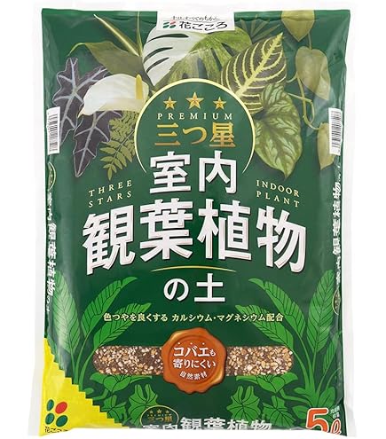 Amazon.co.jp: 東商 セントポーリア培養土 5L : DIY・工具・ガーデン